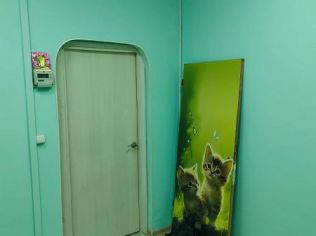 Аренда торгового помещения 10 м²