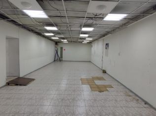 Аренда помещения свободного назначения 252 м²