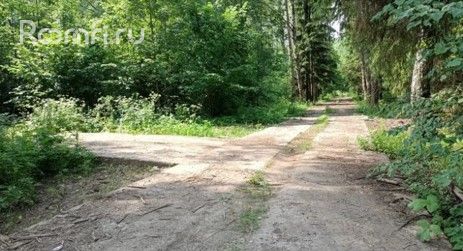 Продажа земельных участка 12.6 га - фото 5