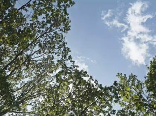 Продажа помещения свободного назначения 14.3 м²