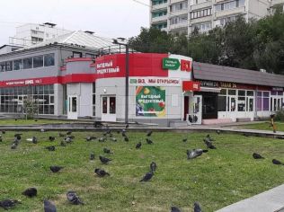 Аренда помещения свободного назначения 54 м²