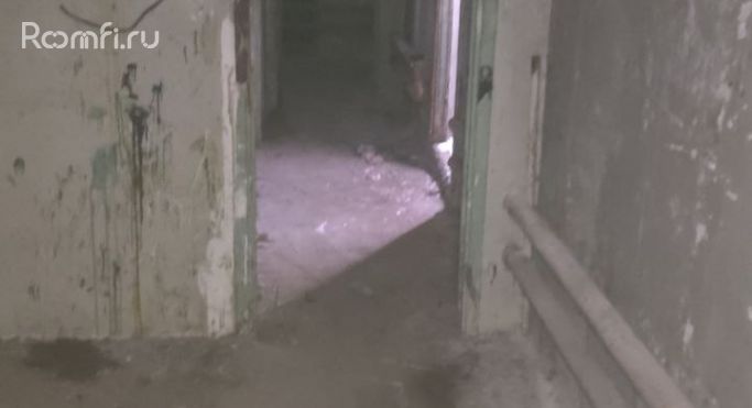 Продажа помещения свободного назначения 34.9 м², улица Плещеева - фото 4