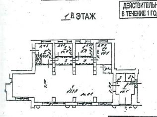 Аренда помещения свободного назначения 239 м²