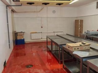 Аренда помещения свободного назначения 305 м²