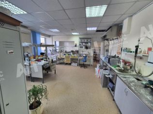 Аренда помещения свободного назначения 65 м²