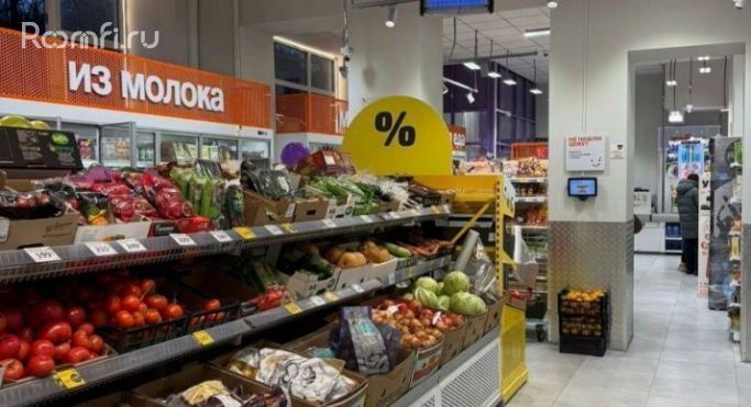 Продажа помещения свободного назначения 481 м², улица Маршала Василевского - фото 3