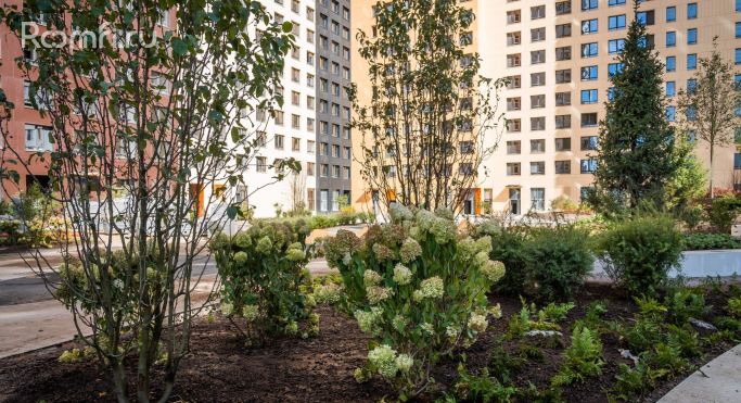 Продажа помещения свободного назначения 57.4 м², Строительный проезд - фото 3