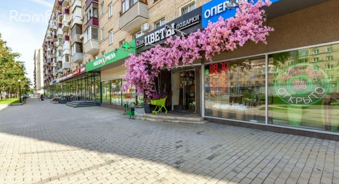 Продажа торгового помещения 130 м², Кутузовский проспект - фото 3