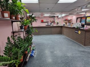 Аренда помещения свободного назначения 74 м²